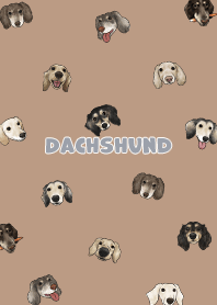 dachshund4 / mocha