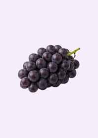 "Summer" Four Seasons / Summer Fruits2