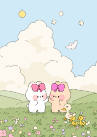 Rabbit a