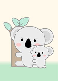 Koala So Cute