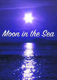 月亮在海上