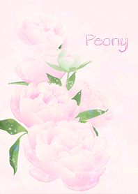 Happy Flowers - Peony -