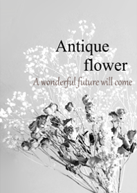 World of Antique dried flower.9