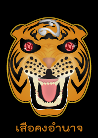Tiger Power (Orange) !