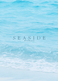 SEASIDE HAWAII -MEKYM- 27