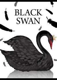 Black Swan Swan Lake Ballet Core