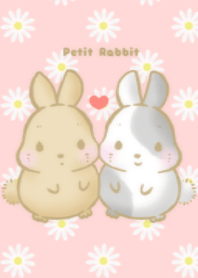 *Petit Rabbit*