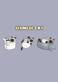siamesecats5 / mist purple