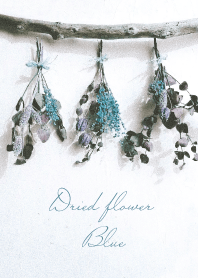 Dried flower_Blue_White
