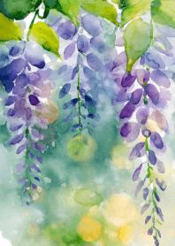 Wisteria Flower Memory Vol.1