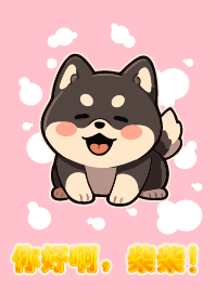 Black Shiba Inu beaming with joy