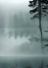 Misty tranquil lake 212bBf
