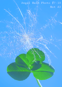 Angel Hair Photo#7-10Not AI