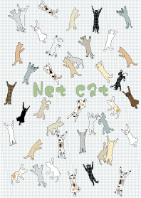 Net cat.