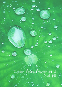 Polka Dots Photo#1-4Not AI