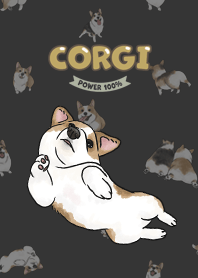 corgicorgi8 - carbon 2024 LET'S DRAW