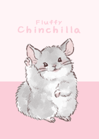 もふもふチンチラさんきせかえ