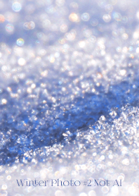 Winter Photo #2-16 Not AI