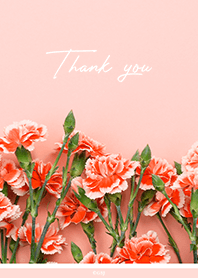 simple cute carnation - Natural -