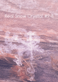 Real Snow Crystal #9-8