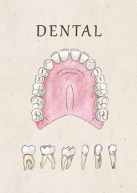 Dental -ENG-