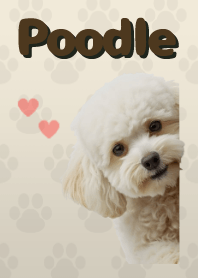 ธีมพุดเดิ้ลทอย Beige 03