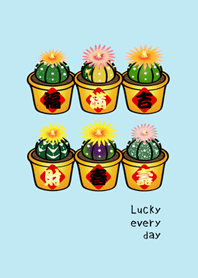 Lucky Potted Plant(Aqua blue)