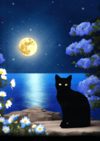 海と黒猫と青い花