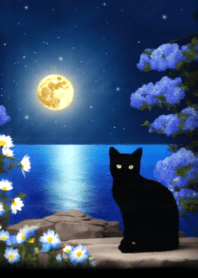 sea black cat and blue flowers