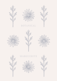 BOTANICAL - MARGUERITE / BEIGE&BLUE