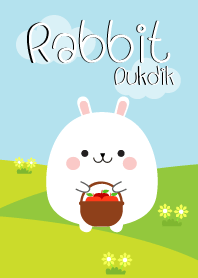 Cute White Rabbit Duk Dik Theme