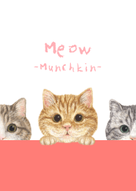 Meow - Munchkin - WHITE/RED