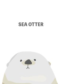 cute sea otter