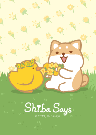 Shibasays Theme 19 Summer