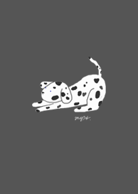 Dalmatian dogs