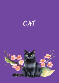There is a black cat on purple