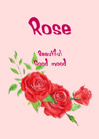 Beautiful blooming rose flower