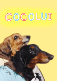 cocolui