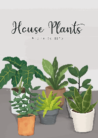 House Plants - Flipy