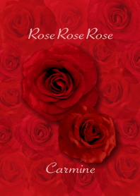 RoseRoseRose carmine