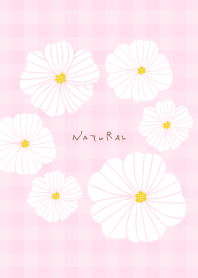 6 white flowers check4 from Japan