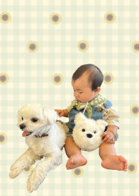 rire ritts design348
