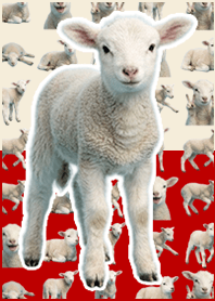 baby sheep Beige Red