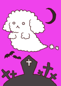 Toy-Poodle spook #Halloween2019