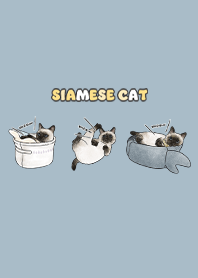 siamesecats5 - light steel blue