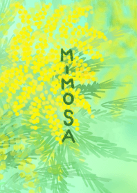 MIMOSA in spring