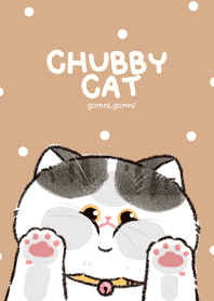 Chubby Cat : Color-Point