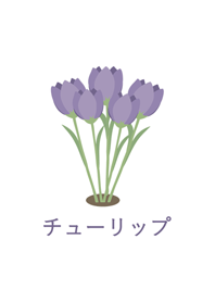 シンプルクラシック-紫のチューリップ