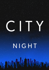 CITY THEME AT NIGHT
