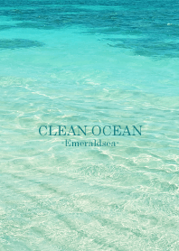 CLEAN OCEAN Emerald sea-HAWAII 11